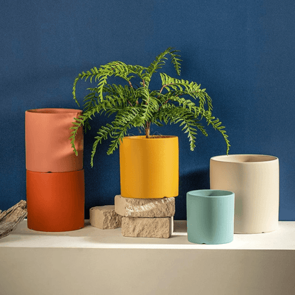 Pot de Fleurs Élégant avec Soucoupe pour Intérieur 3
