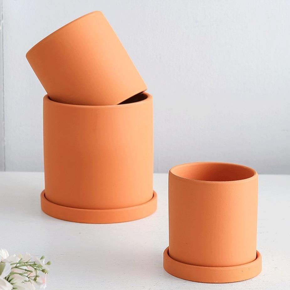 Pot de Fleurs Élégant avec Soucoupe pour Intérieur 6