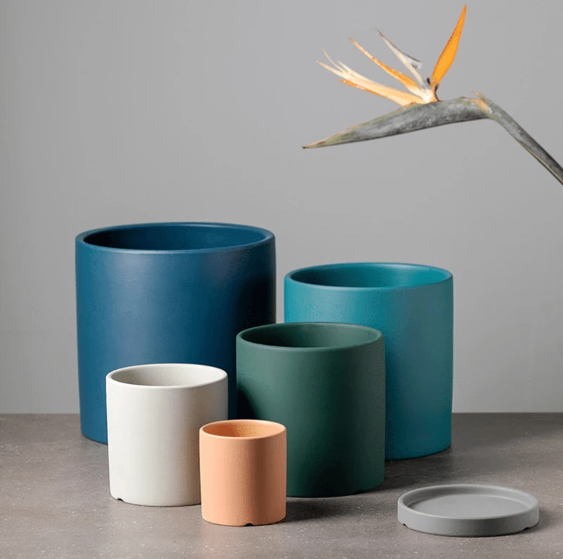 Pot de Fleurs Élégant avec Soucoupe pour Intérieur 7