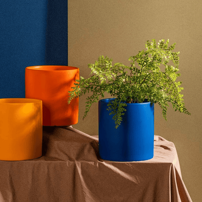 Pot de Fleurs Élégant avec Soucoupe pour Intérieur 8