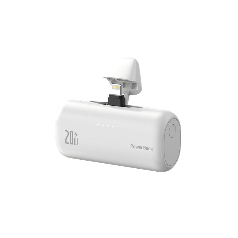 Batterie Externe Portable avec Port de Charge Intégré et Indicateur - Foivo