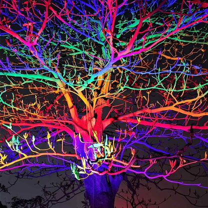 Projecteur LED Extérieur RGB Étanche Télécommande Spot IP65