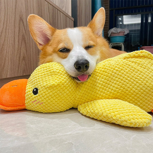 Jouet Canard Interactif pour Chien avec Sons Réalistes - Foivo