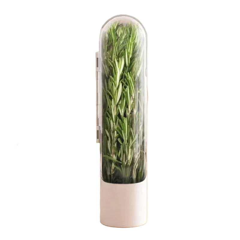 Récipient Multifonctionnel pour Herbes Fraîches en Plastique - Foivo