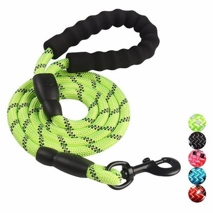 Laisse Réfléchissante pour Chien | Nylon Résistant et Crochet Tournant 360°