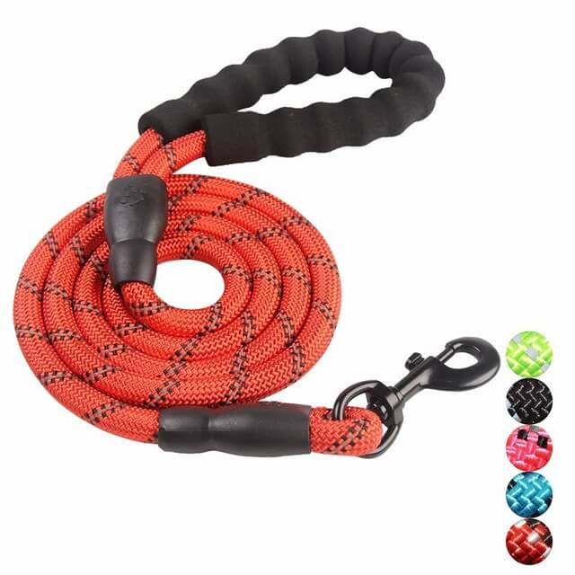 Laisse Réfléchissante pour Chien | Nylon Résistant et Crochet Tournant 360°