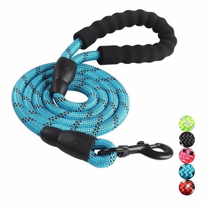 Laisse Réfléchissante pour Chien | Nylon Résistant et Crochet Tournant 360°