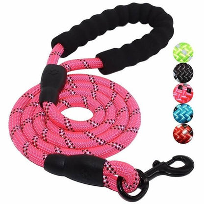 Laisse Réfléchissante pour Chien | Nylon Résistant et Crochet Tournant 360°