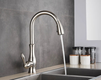 Robinet de Cuisine Escamotable Moderne 1