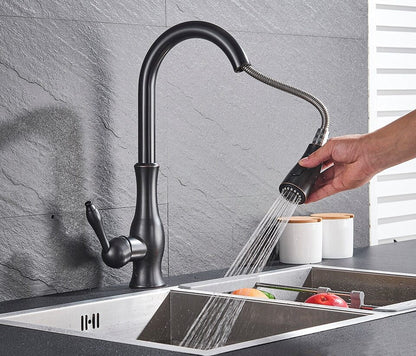 Robinet de Cuisine Escamotable Moderne 2