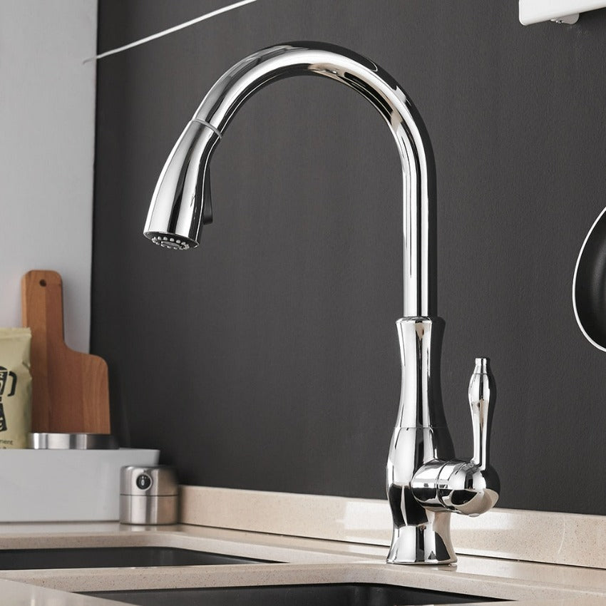 Robinet de Cuisine Escamotable Moderne 5