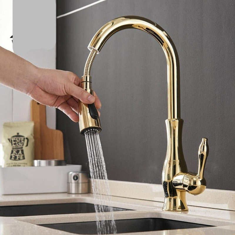 Robinet de Cuisine Escamotable Moderne 6