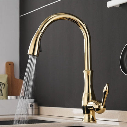 Robinet de Cuisine Escamotable Moderne 7