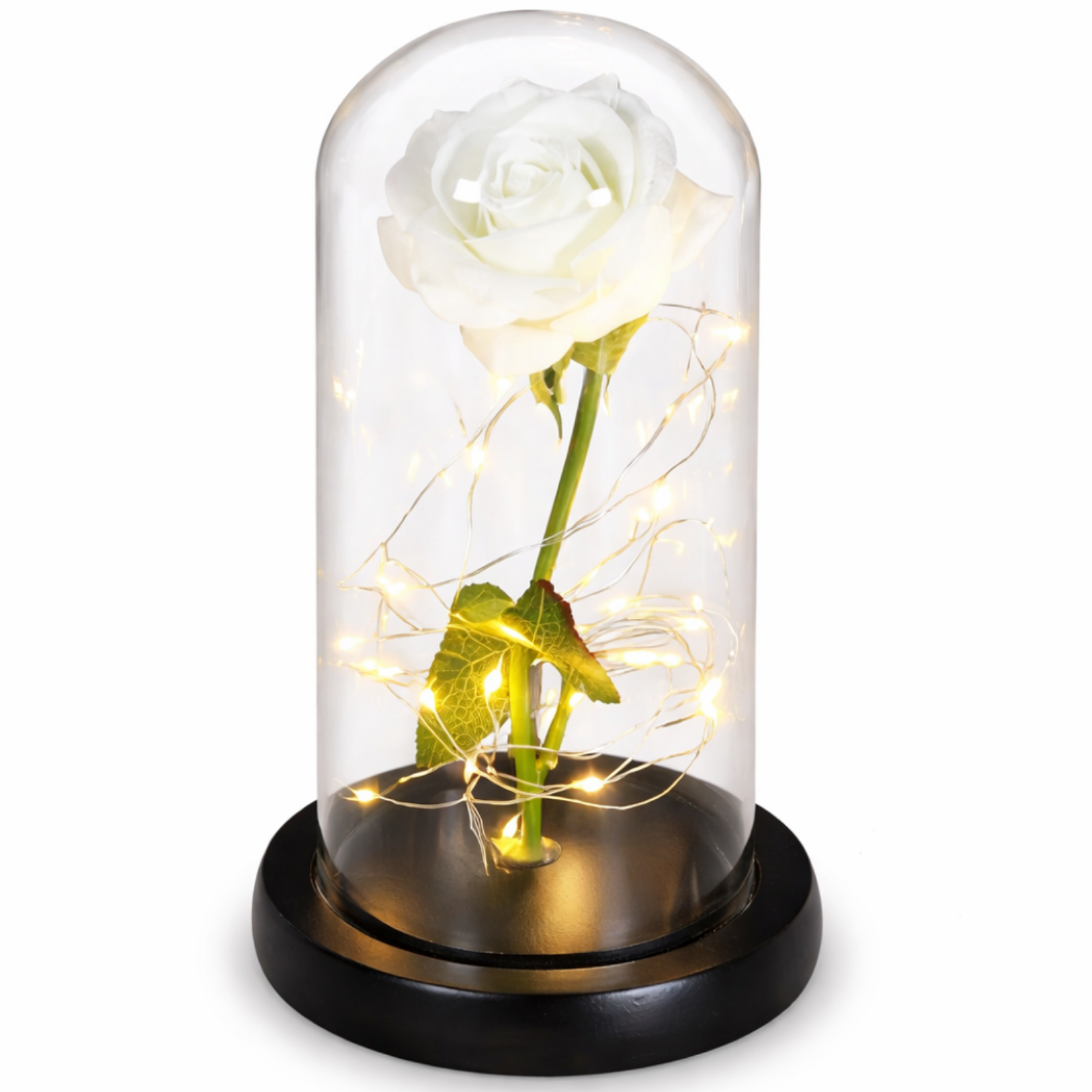 Rose perpétuelle LED 1