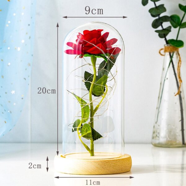 Rose perpétuelle LED 6