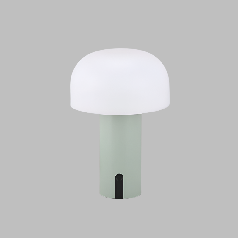 Lampe de Bureau Élégante - Lampe de Lecture Portable et Réglable