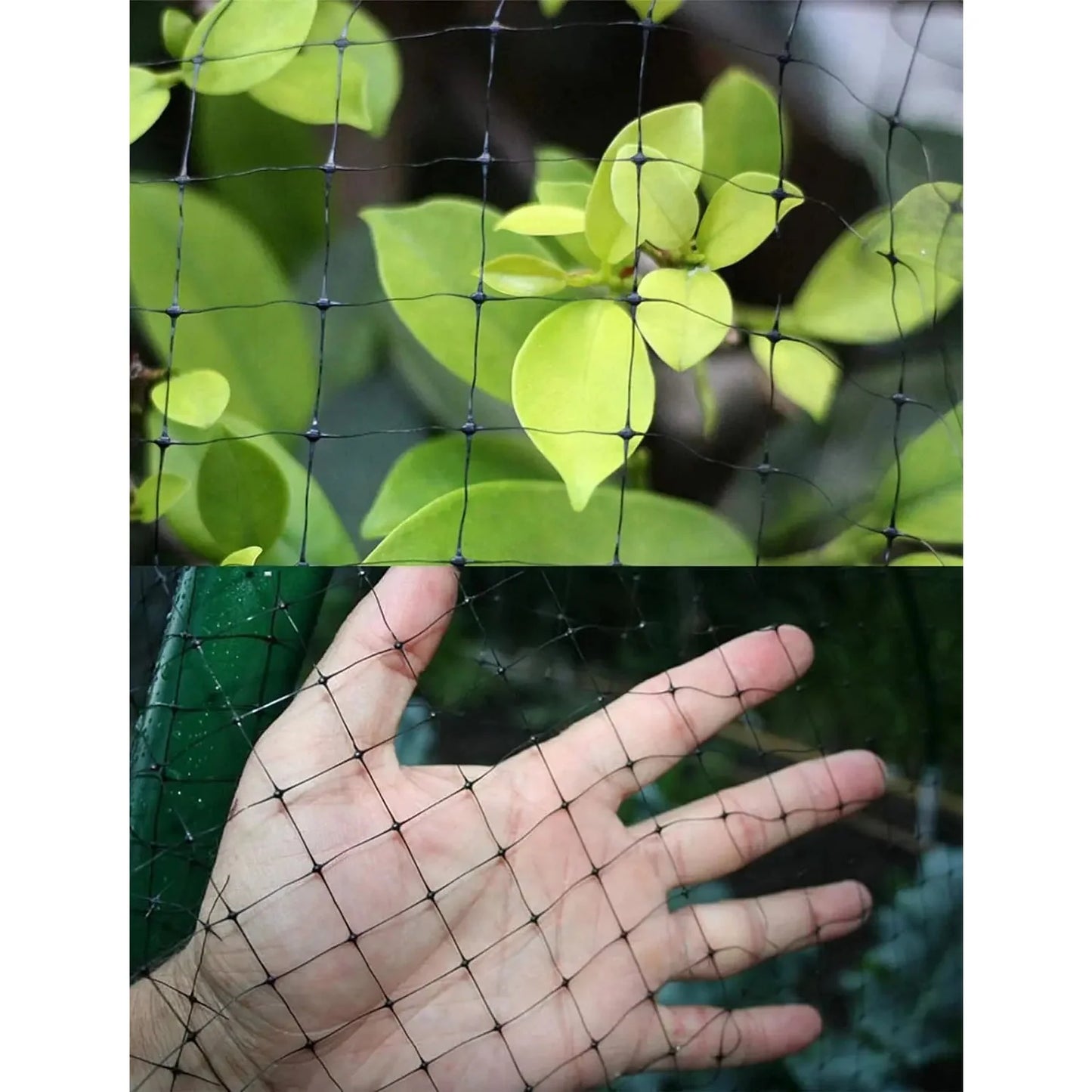 Filet de Protection pour Plantes Robuste et Durable - BlxckFR