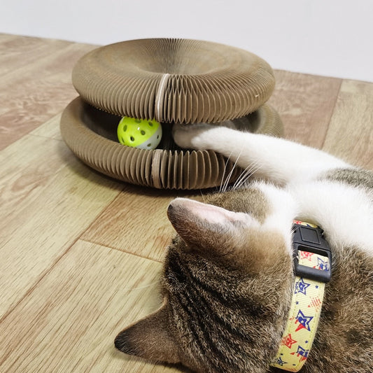 Jeu de Grattage Enchanté avec Boule de Neige - BlxckFR