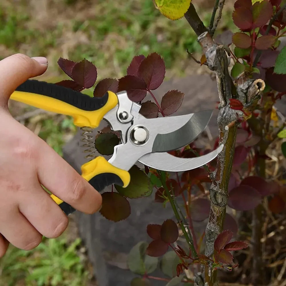 Ciseaux de Jardin Inoxydables Précision - BlxckFR