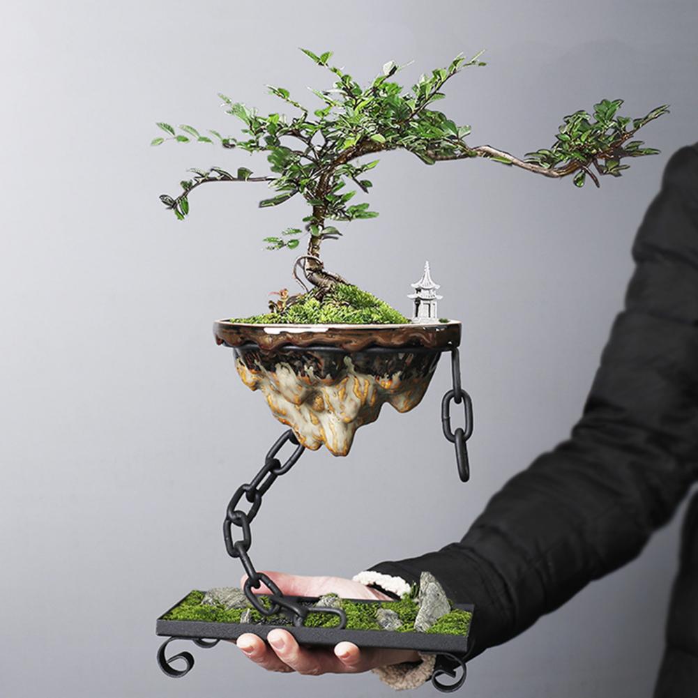 Bol de décoration Flottant pour Bonsaï Suspendu - BlxckFR