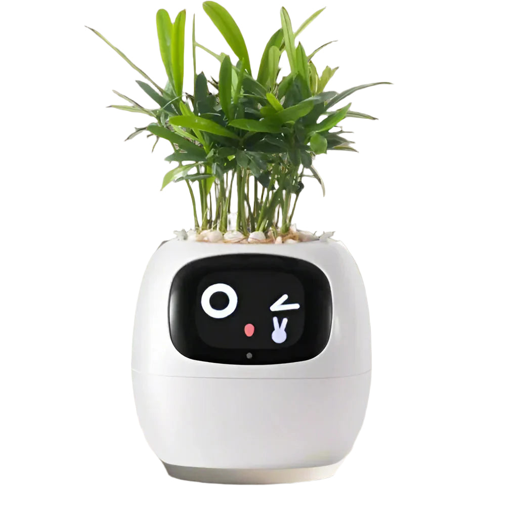 Jardinière Connectée Animée