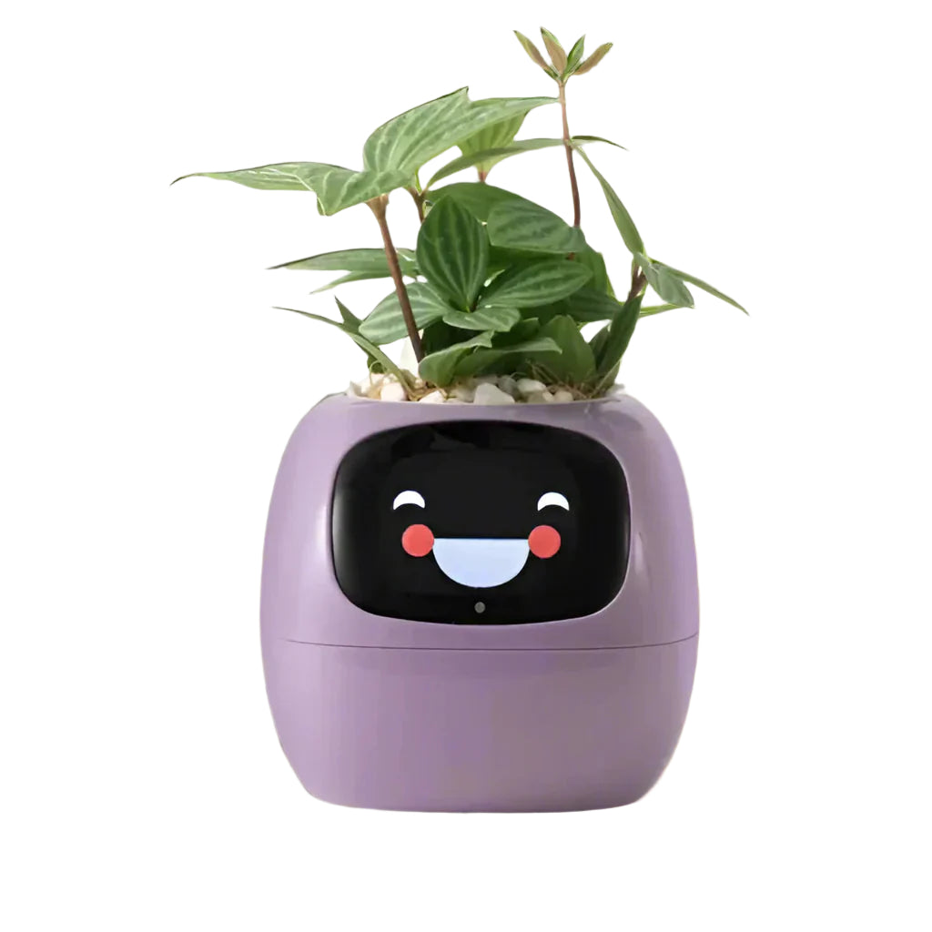 Jardinière Connectée Animée - BlxckFR