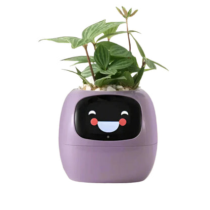 Jardinière Connectée Animée - BlxckFR