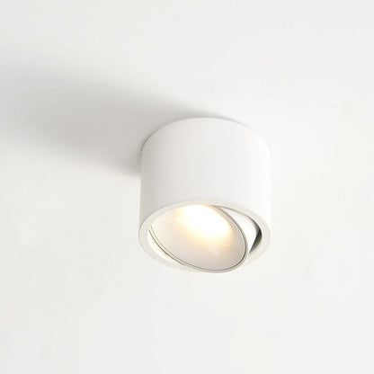 Lampe LED Réglable pour Lumière Jour