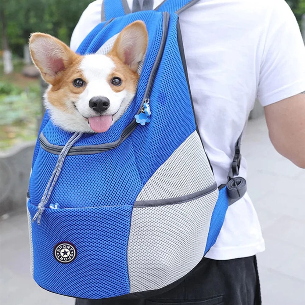 Sac à Dos de Transport pour Chiens et Chats Portable 1