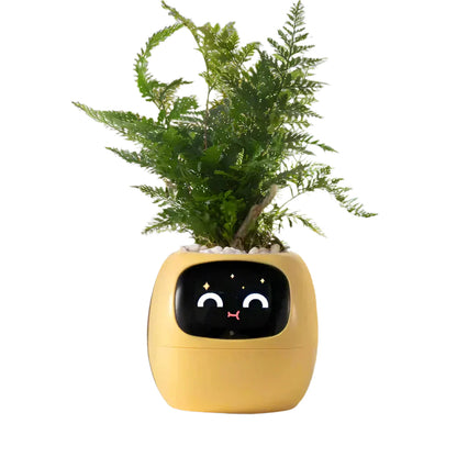 Jardinière Connectée Animée