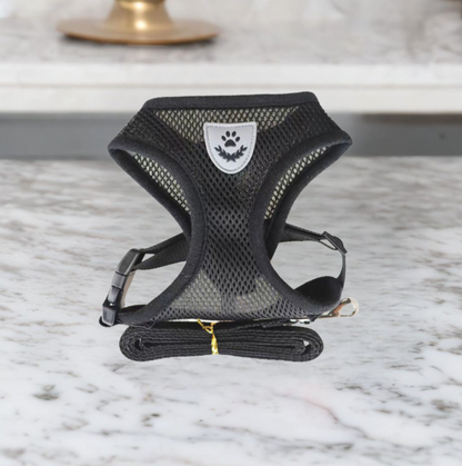 Harnais Chat Douillet Adjustable et Léger pour Balades Sécurisées