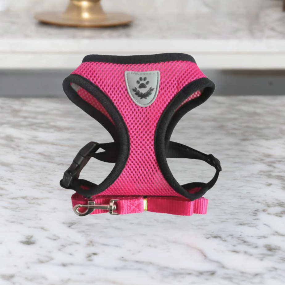 Harnais Chat Douillet Adjustable et Léger pour Balades Sécurisées