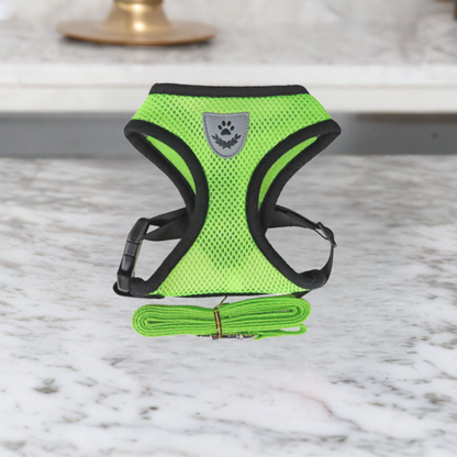 Harnais Chat Douillet Adjustable et Léger pour Balades Sécurisées
