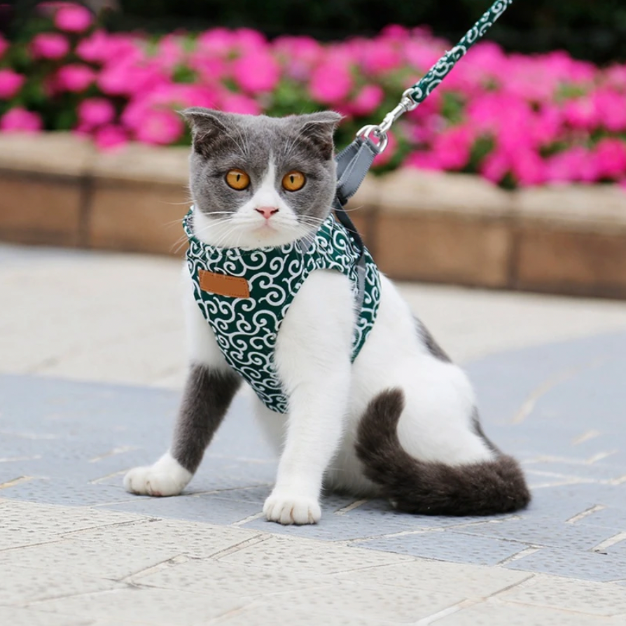 Harnais Chat Douillet | Ajustable et Laisse Colorée