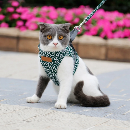 Harnais Chat Douillet | Ajustable et Laisse Colorée