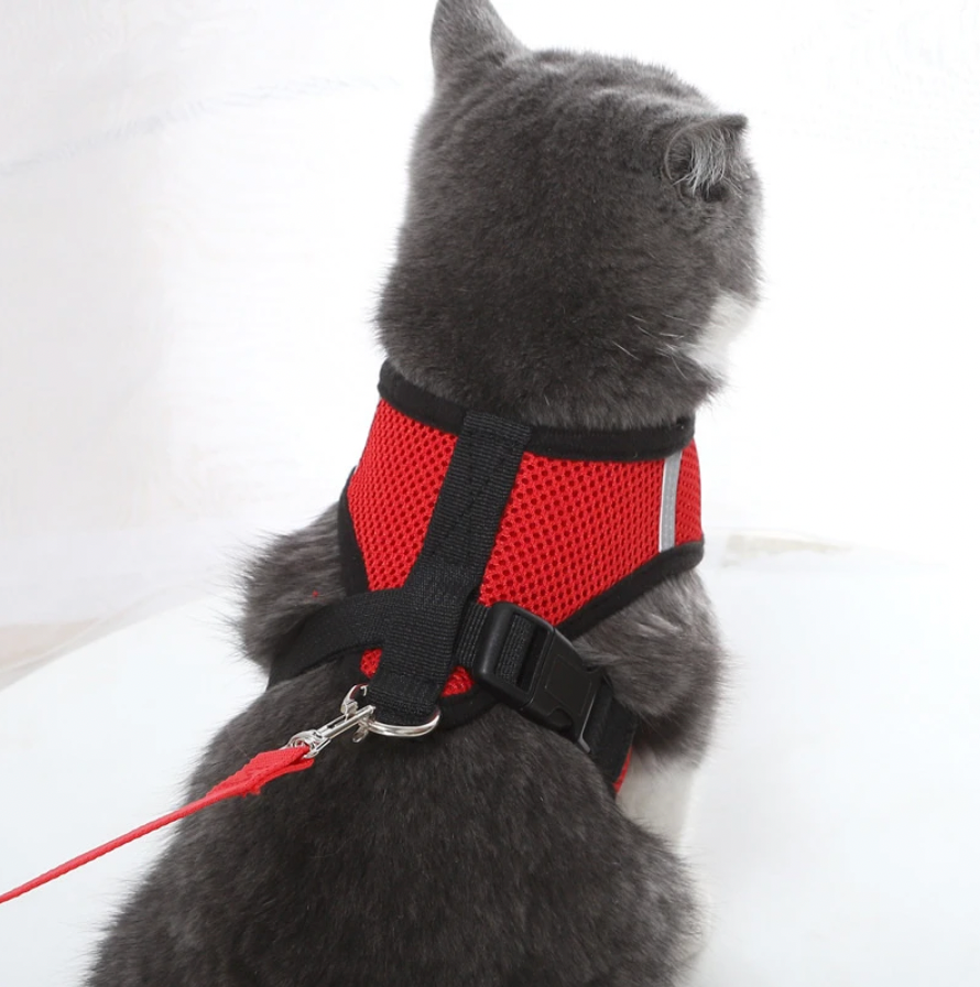 Harnais Chat Douillet Adjustable et Léger pour Balades Sécurisées - Foivo