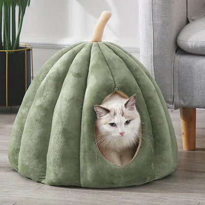 Lit Chat Douillet Automne