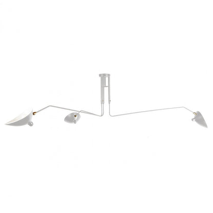 Luminaire Plafond Élégant et Raffiné