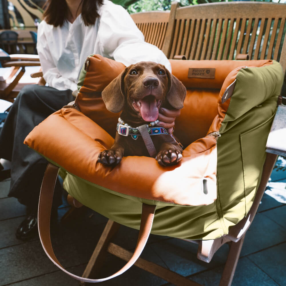 Siège Auto Confortable pour Chiens 4