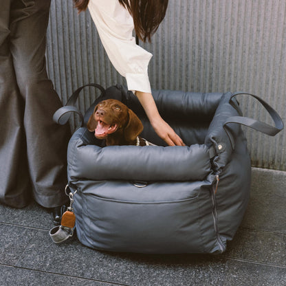 Siège Auto Confortable pour Chiens 5