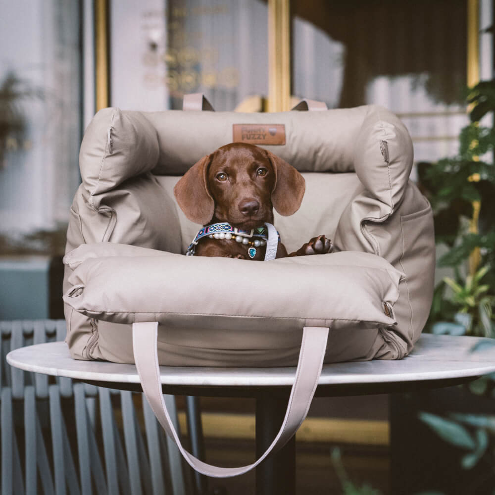 Siège Auto Confortable pour Chiens 6