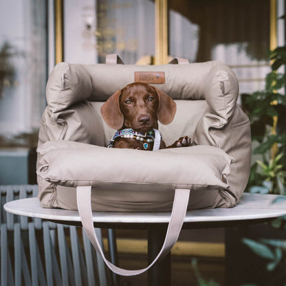 Siège Auto Confortable pour Chiens 6