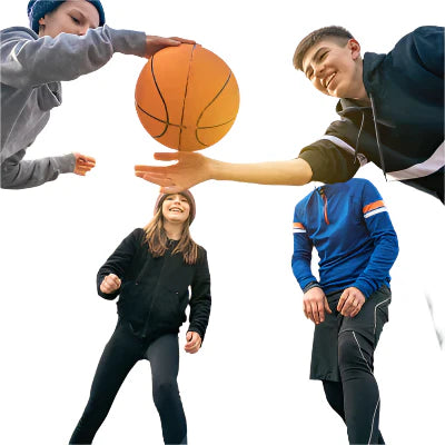 Panier Réduit de Bruit | Entraînement Intensif, Résultats Exceptionnels - Basket Indoor Haute Élasticité - BlxckFR