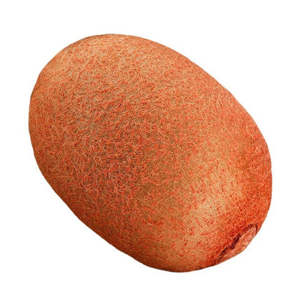 Coussin Fruit Doux et Amusant