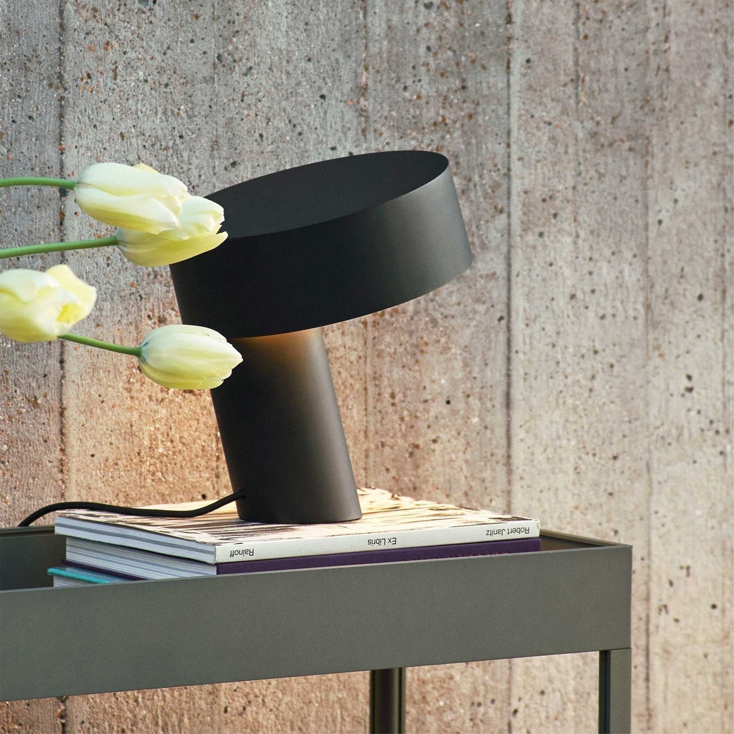 Lampe de Bureau Élégante en Acier | Design Tendance et Éclairage LED Énergétique