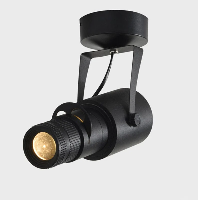 Projecteur LED Directionnel - Éclairage Ciblé et Ambiant