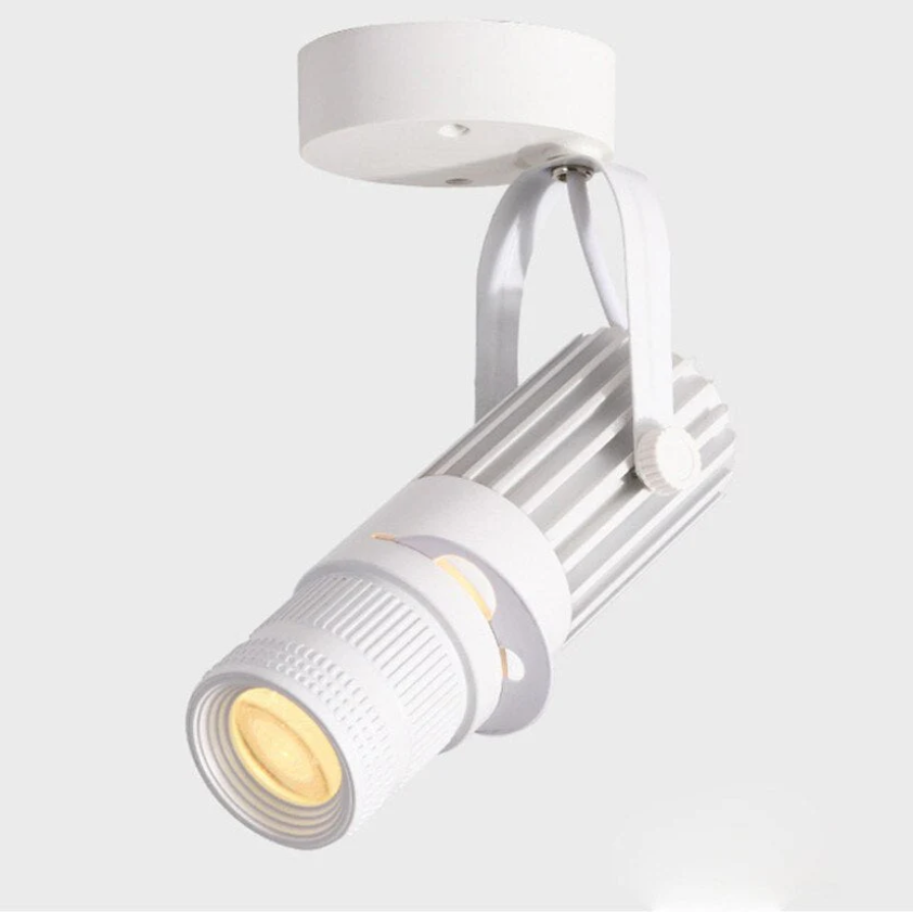 Projecteur LED Directionnel - Éclairage Ciblé et Ambiant