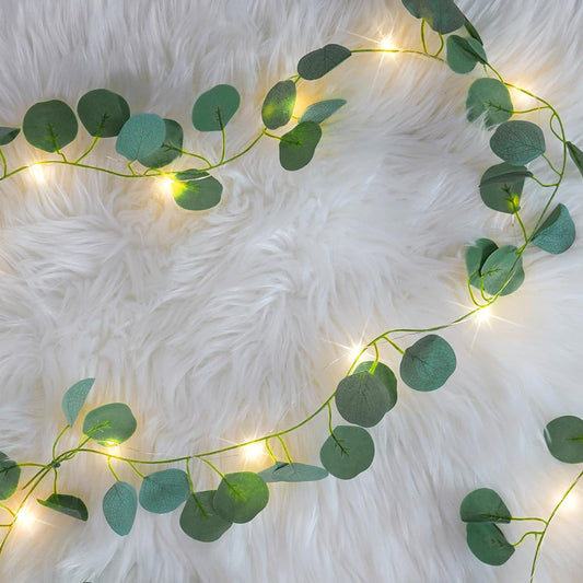Guirlande Lumineuse Intérieure LED Pour Noël - BlxckFR