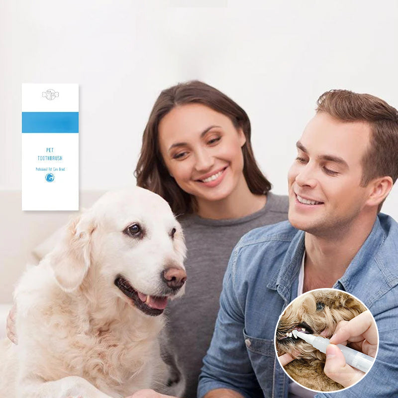 Stylo Brosse à Dents pour Animaux de Compagnie Pratique 3