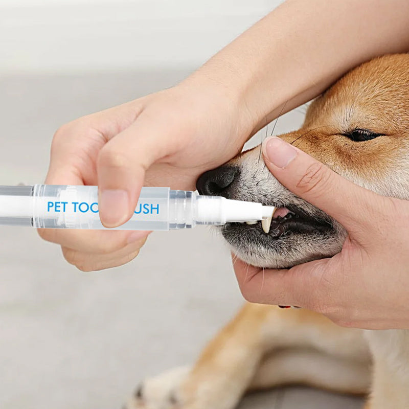 Stylo Brosse à Dents pour Animaux de Compagnie Pratique 4
